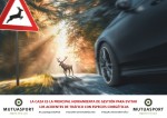 Mutuasport lanza un vídeo sobre la necesidad de la caza ante los accidentes de tráfico